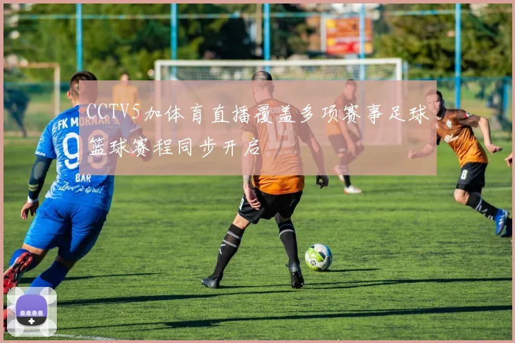 CCTV5加体育直播覆盖多项赛事足球篮球赛程同步开启