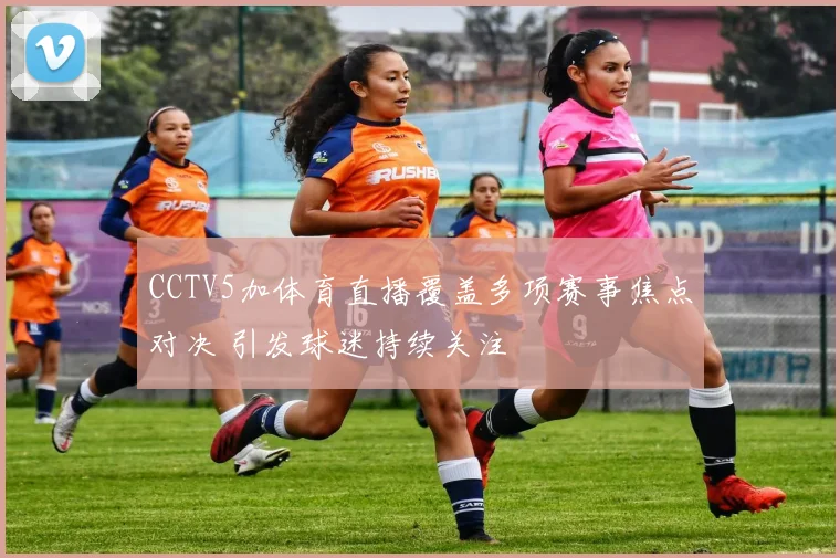 CCTV5加体育直播覆盖多项赛事焦点对决 引发球迷持续关注